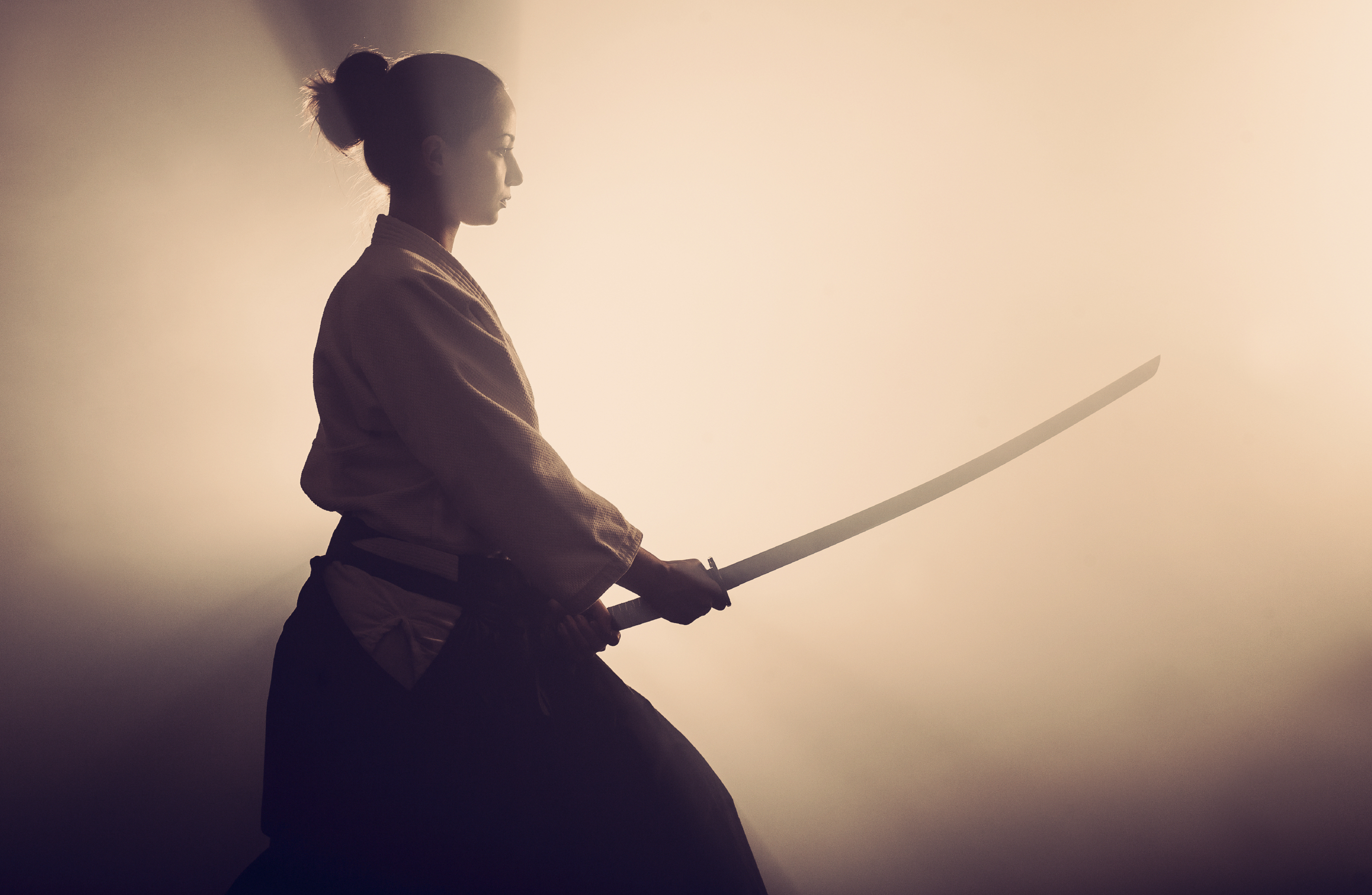 japanese sword fighting