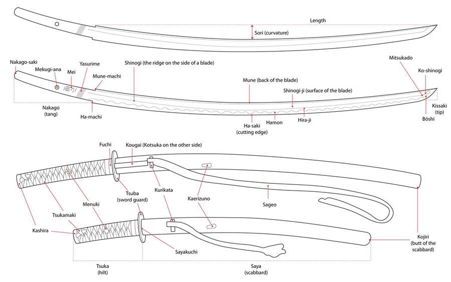 Katana edge alignment and hasuji for proper sword cutting Katana edge alignment and hasuji for proper sword cutting