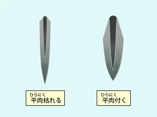 Katana niku cross section comparison showing blade geometry Katana niku cross section comparison showing blade geometry