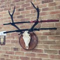 Custom Katana — Customer Photo