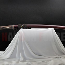 Handmade KATANA Japanese samurai sword 1095 steel full tang blade with buffalo horn saya