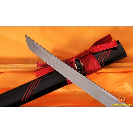 Japanese Iaido training sword KATANA full tang blade  Dragon theme fittings