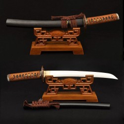 Clay Tempered Japanese Tanto Samurai Dragon Sword 1095 Carbon Steel Blade