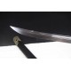 Dragon Dao Chinese Sword Sabre Clay Tempered Damascus Folded Steel Blade