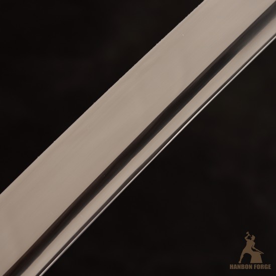 Handforged T10 Steel Mirror Polished Katana with Black Glossy Saya Handforged T10 Steel Mirror Polished Katana with Black Glossy Saya