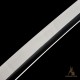 Premium T10 Hand-Forged Katana – Black Dragon Warrior Full Tang Japanese Sword with Red Rayskin & Mirror Polished Blade Premium T10 Hand-Forged Katana – Black Dragon Warrior Full Tang Japanese Sword with Red Rayskin & Mirror Polished Blade