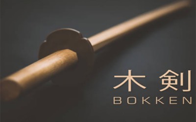 WHAT IS THE JAPANESE BOKKEN?