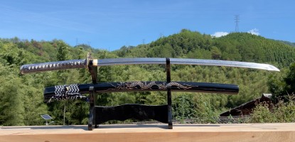The Ultimate Guide to Choosing Your First Katana: 5 Things You Must Know