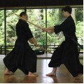 Iaido Swords (unsharp)