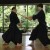 Iaido Swords (unsharp)